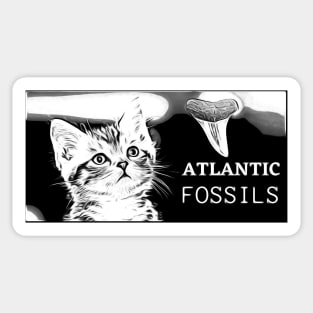 Kitten and Atlantic Fossils Shark Tooth Sticker